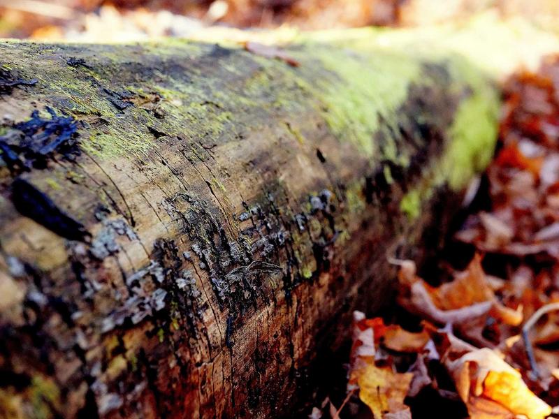 sudoku valid solution